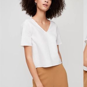 Aritiza Randy Blouse